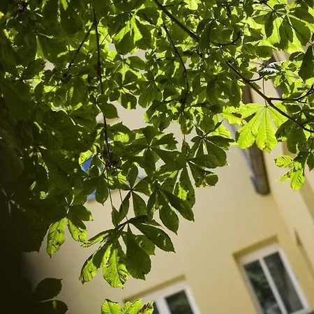 Goldener Kranich Appartement *